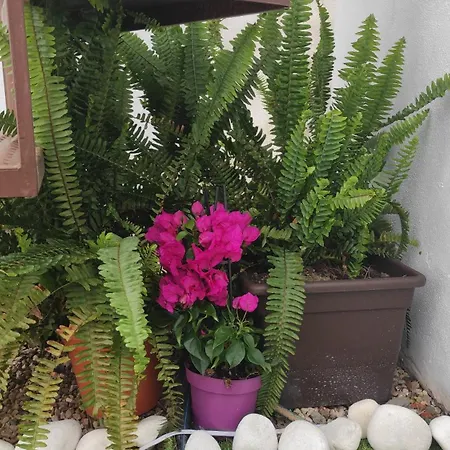 Holiday home Casa Carmela *